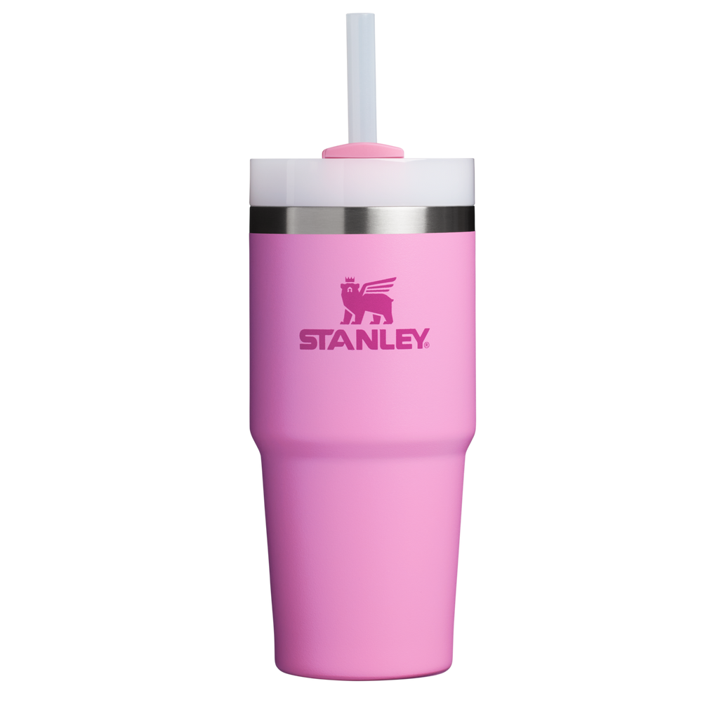 Car-Cup Friendly The Quencher H2.0 Flowstate Tumbler D214X - Premium Stainless Steel Straw Cup for All-Day Hydration Detail