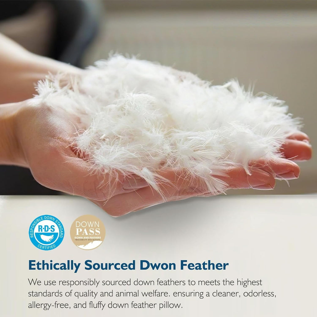 Fluffy Shredded Hypoallergenic 3‑Chamber Goose Feather Down Core Bed Pillows, Standard Size Set of 2, With Microfiber Surround, Soft-... - Ergonomic Memory Foam Pillow for Neck Pain Support Detail