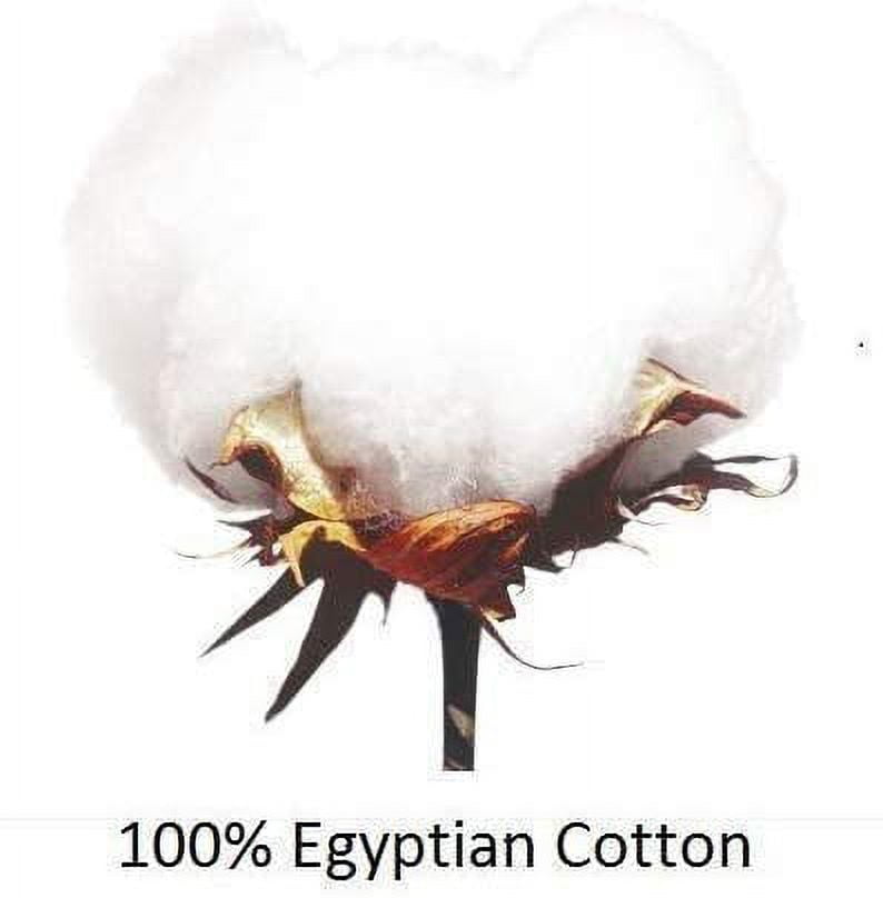 Cooling Sateen 100% Cotton Hospital Bedsheets Set - 1 Flat Sheet, 1 Fitted Sheet (10" Inch) Deep Pocket, 1 Pillowcase, Best & Comfor... - Breathable Egyptian Cotton Flat & Fitted Sheets Detail