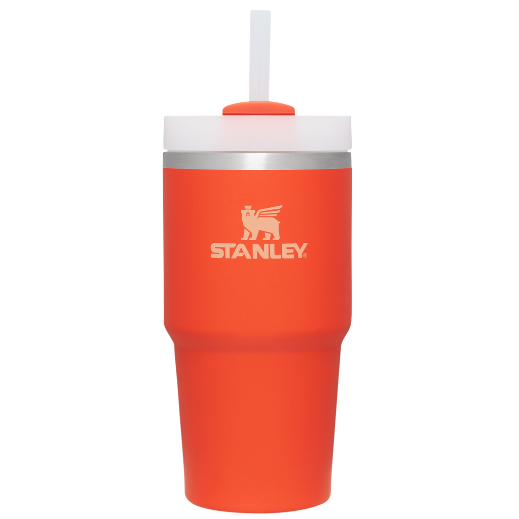 Splash-Resistant FlowState The Quencher H2.0 Flowstate Tumbler D030T - Double-Wall Vacuum Insulated Travel Tumbler with Straw - Tigerlily