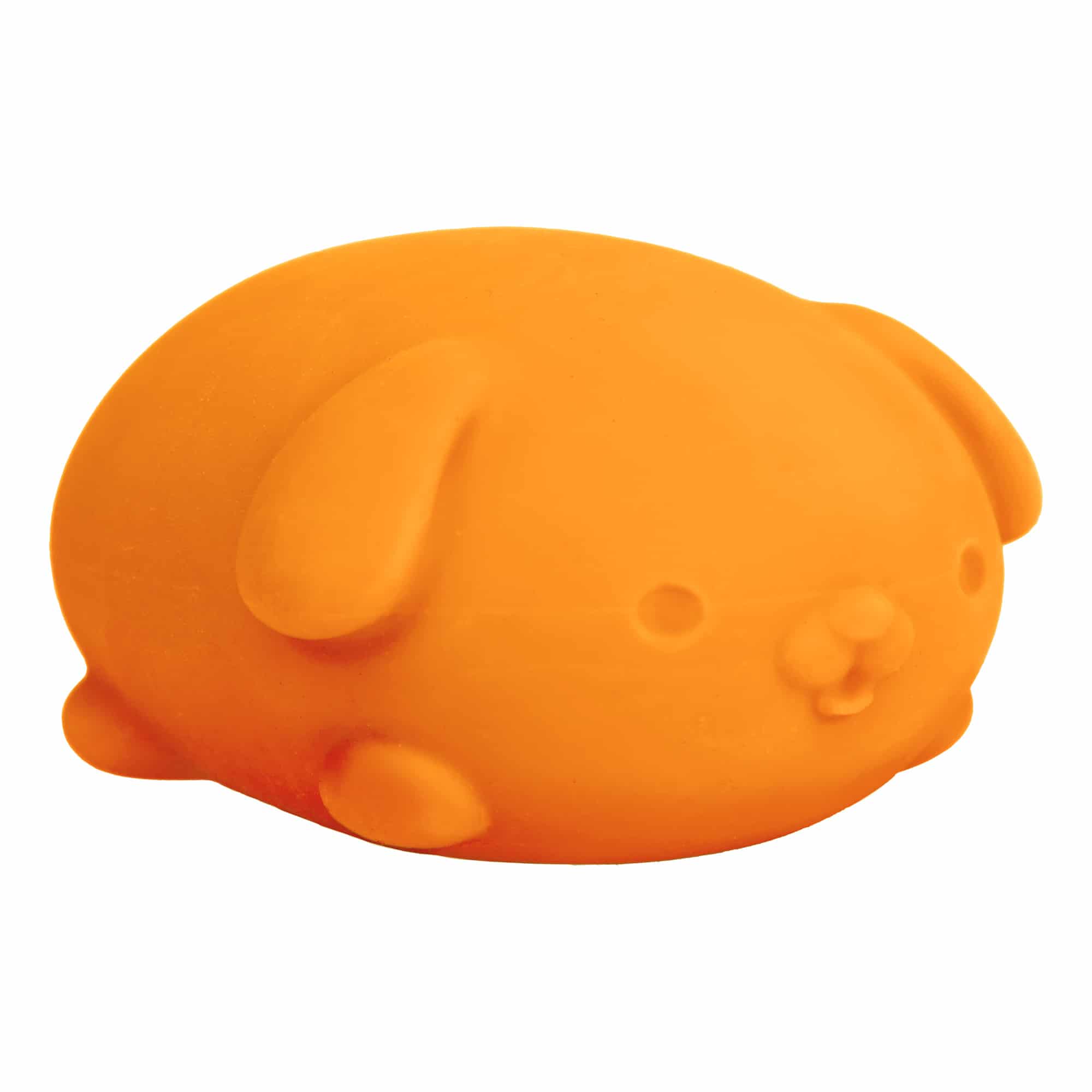 Fun Fidget Monster NeeDoh Funky Pup | Collection Canyon Shore - Collectible Shaggy Monster Squishable Toy Detail