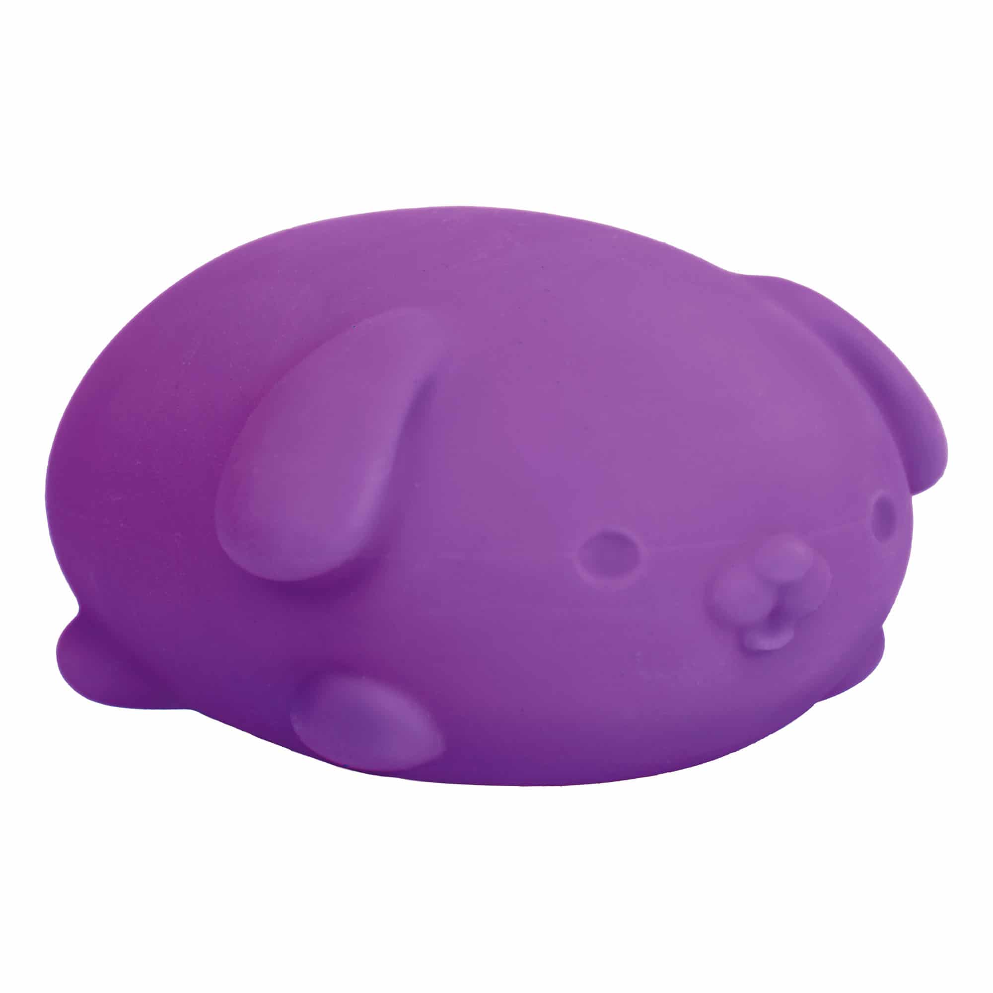 Fun Fidget Monster NeeDoh Funky Pup | Collection Canyon Shore - Collectible Shaggy Monster Squishable Toy Detail