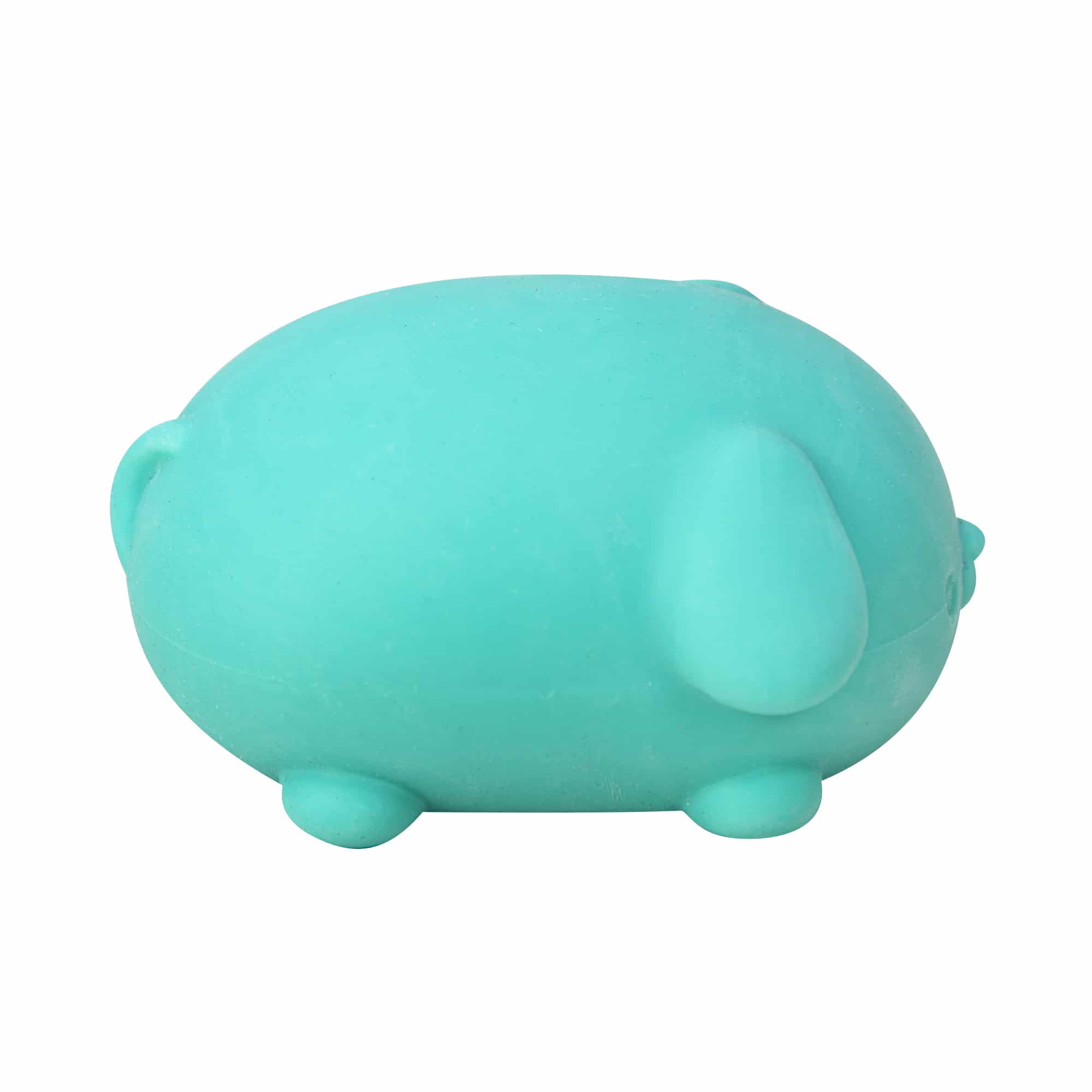 Fun Fidget Monster NeeDoh Funky Pup | Collection Canyon Shore - Collectible Shaggy Monster Squishable Toy Detail