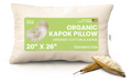 Hotel Collection Kapok 20x26" Standard Bed Pillow – Organic Cotton Fabric Soft Sleeping Pillow - Made in USA - Ergonomic Memory Foam Pillow for Neck Pain Support - Default Title