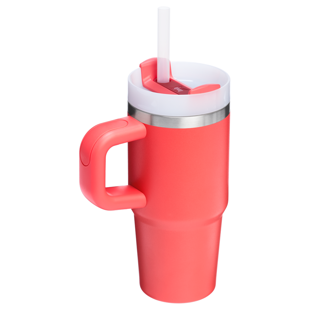 Splash-Resistant FlowState The Quencher H2.O Flowstate Tumbler D068Z - Premium Stainless Steel Straw Cup for All-Day Hydration Detail