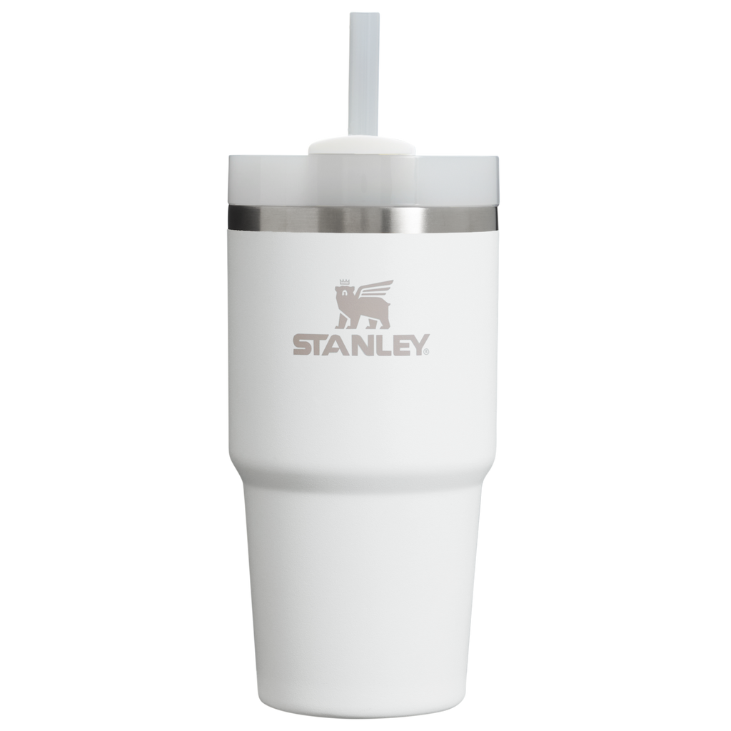 Splash-Resistant FlowState The Quencher H2.0 Flowstate Tumbler D030T - Double-Wall Vacuum Insulated Travel Tumbler with Straw - Frost