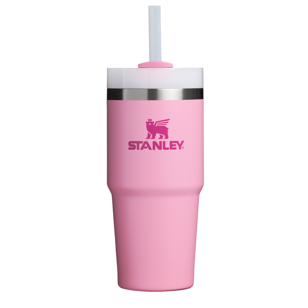 Car-Cup Friendly The Quencher H2.0 Flowstate Tumbler  | Stanley Create D329E - Premium Stainless Steel Straw Cup for All-Day Hydration Detail