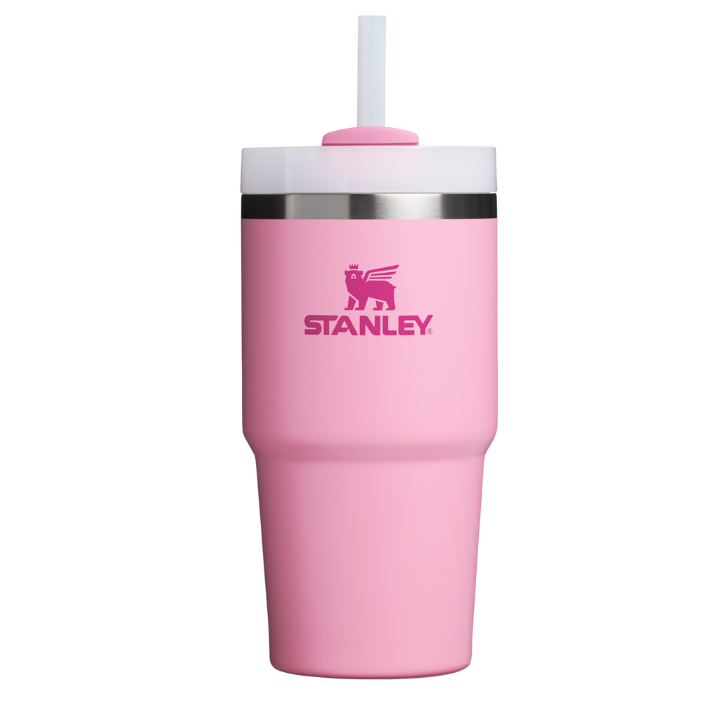 Splash-Resistant FlowState The Quencher H2.0 Flowstate Tumbler D030T - Double-Wall Vacuum Insulated Travel Tumbler with Straw - Ash