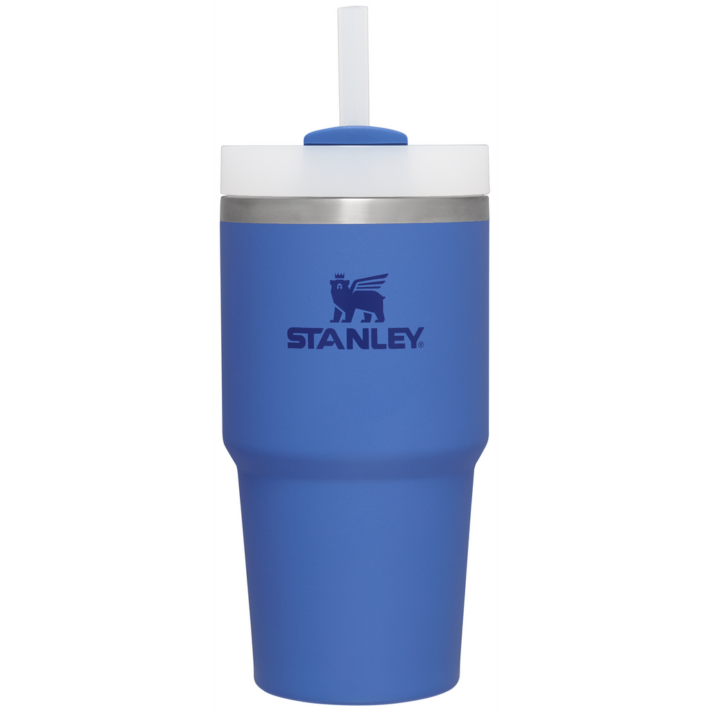 Splash-Resistant FlowState The Quencher H2.0 Flowstate Tumbler D030T - Double-Wall Vacuum Insulated Travel Tumbler with Straw - Iris