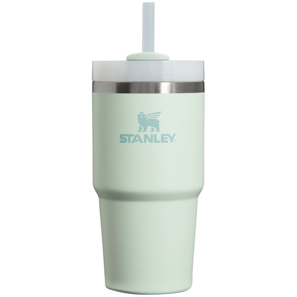 Splash-Resistant FlowState The Quencher H2.0 Flowstate Tumbler D030T - Double-Wall Vacuum Insulated Travel Tumbler with Straw - Mist