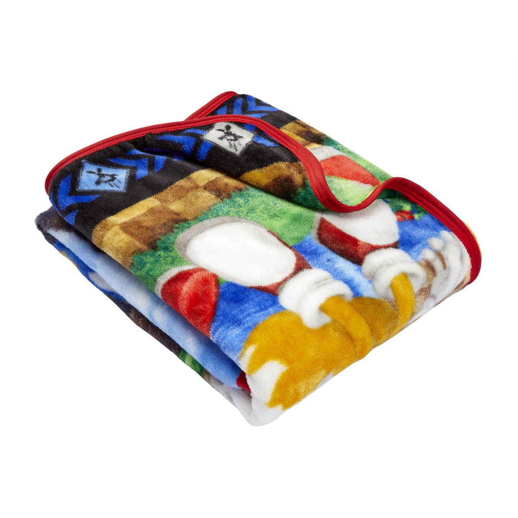 Lightweight Warm Kids Silky Soft Plush Throw Blanket, 40" x 50" - Super Soft Reversible Sherpa Flannel Blanket Detail